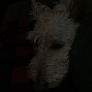 Meet your Posher, Lana